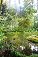 Singapur - Alter Botanischer Garten