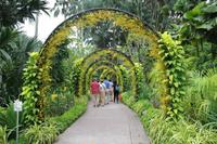 Singapur - Alter Botanischer Garten
