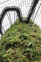 Singapur - Gardens by the Bay