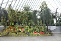 Singapur - Gardens by the Bay