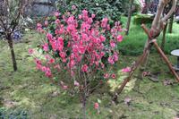 Singapur - Gardens by the Bay