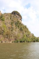 Langkawi - Bootsfahrt in den Mangroven