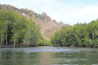 Langkawi - Bootsfahrt in den Mangroven