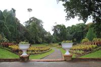 Sri Lanka - Botanischer Garten in Kandy