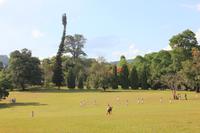 Sri Lanka - Botanischer Garten in Kandy