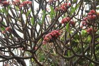 Mumbai - auf dem Malabar Berg