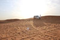 Wüstensafari in den arabischen Emiraten