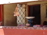 Trinidad - Fleischstand