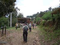 Parque Guanayara - Casa La Gallega
