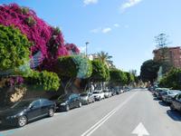 Málaga9