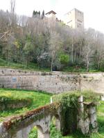 Granada4