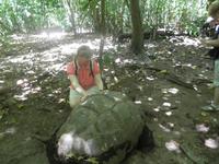 Ausflug Drei Inseln: Cousin, Curieuse und St. Pierre