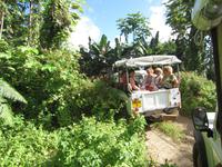 Unterwegs mit dem Jeep