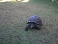 New Emerald Cove Hotel auf Praslin