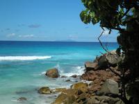 Aride Island - Ausflug zum Vogelschutzreservat