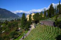 035 Meran, Garten und Schloss Trautmannsdorf