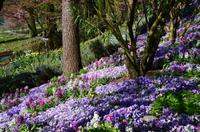 045 Meran, Garten und Schloss Trautmannsdorf