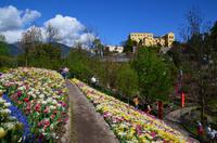 065 Meran, Garten und Schloss Trautmannsdorf