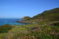 140 Korsika, Maggia am Pointe de la Parata