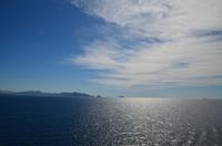 279 Einfahrt in Marseille, Blick zum Mont Puget
