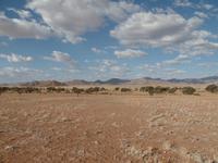 Singlereise Namibia – Sundowner in der Namib