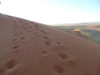 Singlereise Namibia – Sundowner in der Namib