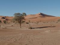 Singlereise Namibia – Sanddünen in der Namib Wüste