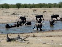Singlereise Namibia – Etosha Nationalpark