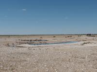 Singlereise Namibia – Etosha Nationalpark