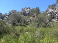Mallorca