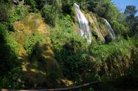 Wanderung im tropischen Wald