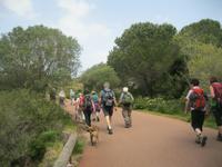 IMG_5449 mit Inselhund