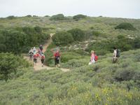IMG_5473