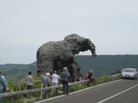 IMG_5489 Roccia dell Elefante bei Castelsardo
