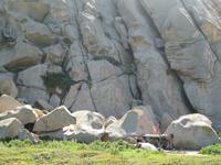 IMG_5563 Hippiehöhle