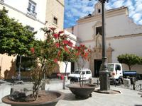 Cadiz Plaza San Francisco