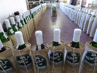 Argostoli, Weingut Robola