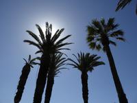 Argostoli, Kourkoumelata