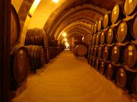 Marsala, Weingut