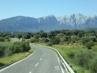 Olbia