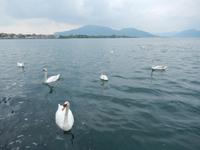 Iseo-See