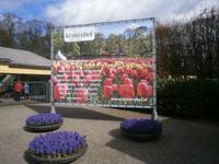 Begrüßung der Gäste aus aller Welt am Eingang zum Keukenhof