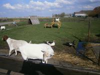 lebende Tiere im Museum, besonders interessant für junge Besucher 