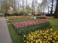 Herrliche Blumenarrangements