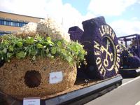 Blumencorso