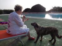 Hotel Kaos Rettungsschwimmer