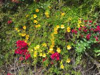 Wanderung zum Capo Milazzo