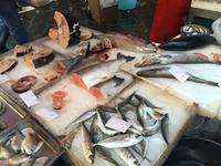 Catania - Fischmarkt