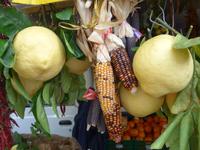 Zitronen von der Amalfiküste