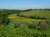 San Andrea Safranfarm (9)